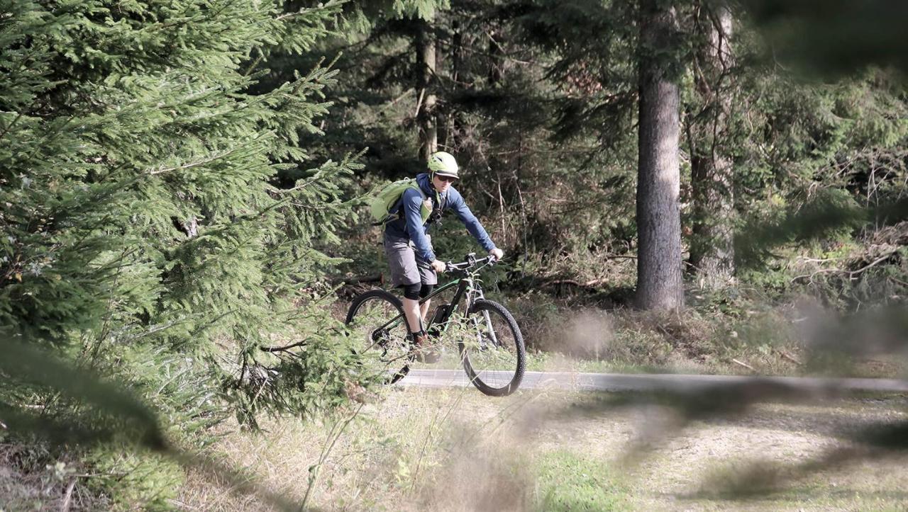 Inns Holz Ulrichsberg Kültér fotó